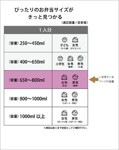 保温 保冷 お弁当箱 [抗菌真空ステンレス丼ランチジャー] 800ml/2段 ベーシック 保温ジャー 保温お弁当箱 スケーター おしゃれ シンプル 便利 ランチジャー お弁当ジャー おしゃれジャー オ
