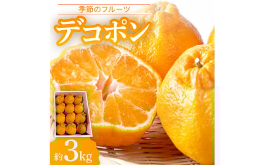 季節のフルーツ「デコポン」約3kg＜令和8年2～3月発送＞【1612339】