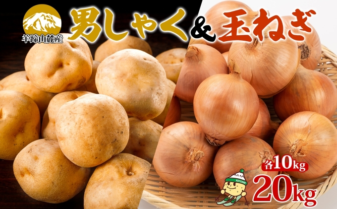 
                  北海道産じゃがいも 男爵 玉ねぎ Lサイズ 各約10kg ジャガイモ 男爵いも 馬鈴薯 ポテトタマネギ 玉葱 常備野菜 根菜 産直 国産 JAようてい 送料無料 北海道北海道のジャガイモ 食品 
                