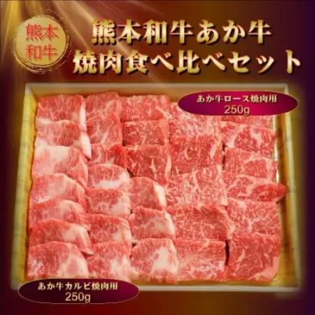 あか牛焼肉食べ比べ 500g(ロース250g、カルビ250g)(益城町)【配送不可地域：離島】【1734163】