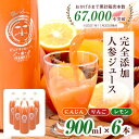 【ふるさと納税】無添加ストレートにんじんジュース900ml×6本　栽培期間中農薬・化学肥料不使用の人参を使用【1228367】