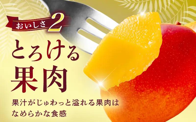 宮崎県産 完熟マンゴー 2玉 2L_b0954_ww