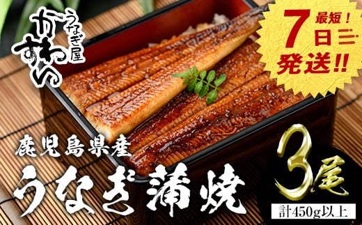 
            【7営業日以内に発送！】＜うなぎ屋かわすい＞鹿児島県産 国産うなぎ蒲焼 (計450g以上 / 1本あたり150～169g×3本) タレ入り 鰻 うな重 かばやき【川口水産】A855
          