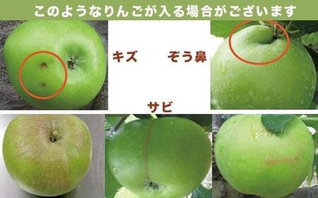 【訳あり】 クッキングアップル ブラムリー 約5kg 12～18玉 ［小布施屋］ 傷 キズ 不揃い 規格外 家庭用 令和8年産  【2026年8月下旬～10月発送】  ［A-47］