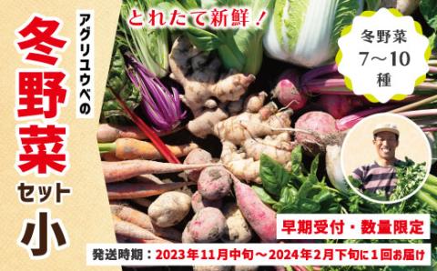 【早期受付・数量限定】＼とれたて新鮮／農家直送！アグリユウベの冬野菜セット（小）【2023年11月中旬～2024年2月下旬に１回発送】R5-397