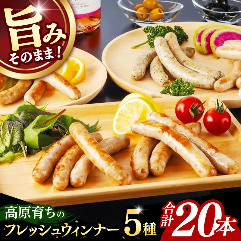 【ふるさと納税】高原育ちのフレッシュウィンナー 5種詰め合わせ 20本 国産 豚肉 冷凍 ウインナー フ 生ウインナー ソーセージ 天然腸詰め セット パセリ オニオン ガーリック ブラックペッパー チーズ おつまみ バーベキュー ギフト 贈り物 贈答用 岩手県 岩手町 いわちく