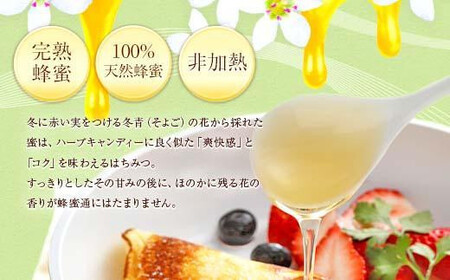 【全12回】 定期便 かの蜂 国産 そよご蜂蜜 合計12kg（とんがり容器1kgを毎月1本お届け）　024-T015
