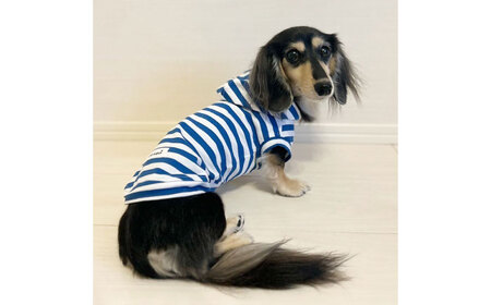 ボーダーパーカー ホワイト×ブルー（ワンちゃん用） （SS/S/MM/Mサイズ） / 佐賀県 犬 ドッグ / Canis Lupus [41AAAN014]