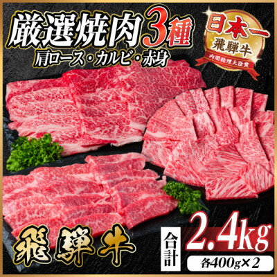 【ふるさと納税】飛騨牛　厳選焼肉3種(肩ロース・カルビ・赤身)　計2.4kg(各400g×2)　黒毛和牛　小分け【配送不可地域：離島】【1669124】