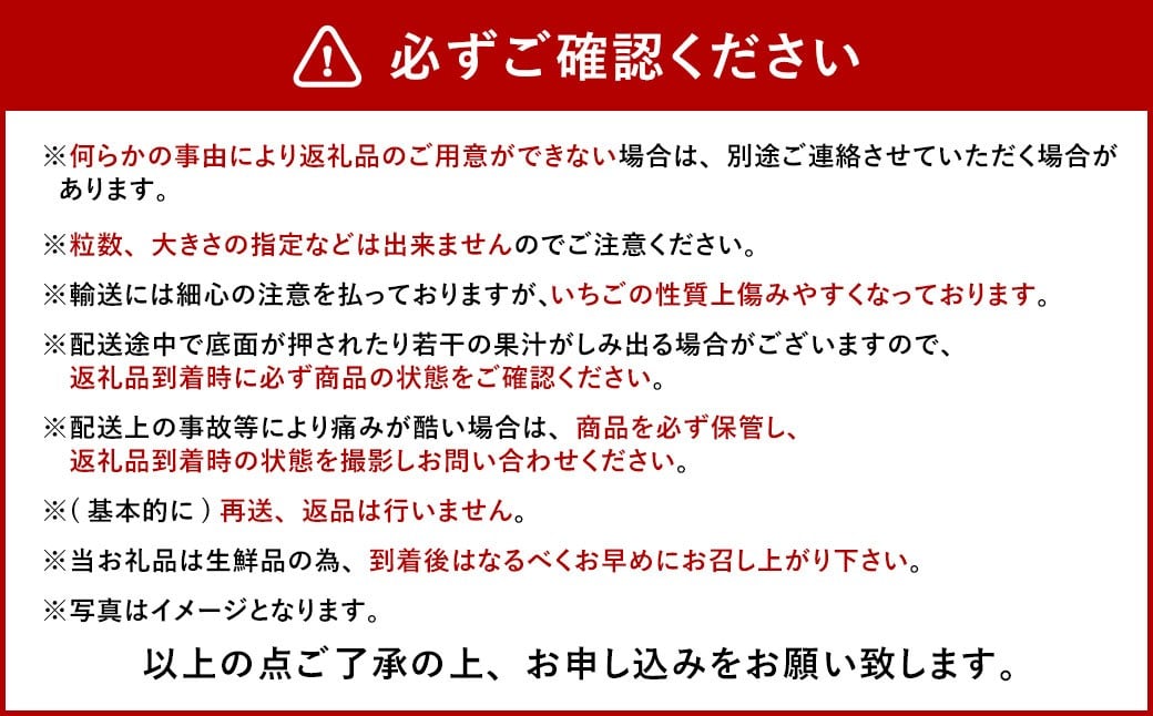 今季初採れあまおう2パック【数量限定】