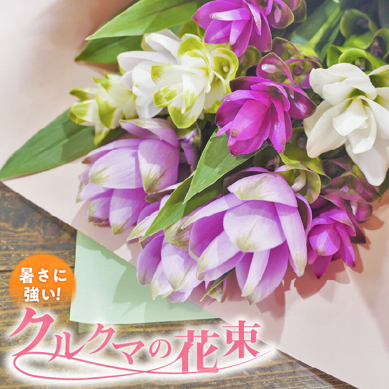 【ふるさと納税】暑さに強い花　クルクマの花束 花 花束 紫 白 ギフト 贈り物 プレゼント フラワーギフト インテリア シルバーウィーク フラワーアレンジメント 雑貨 碧南市 送料無料