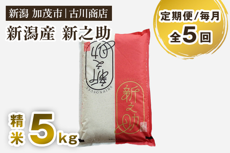 【令和7年産】【定期便5ヶ月毎月お届け】新潟の新ブランド米「新之助」精米5kg 白米 大粒 加茂市