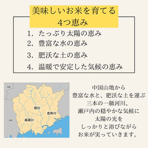 定期便 5ヶ月 令和6年産 お米 15kg（5kg×3袋）ひのひかり あさひ にこまる あけぼの きぬむすめ 特A 精米 白米 ライス 単一原料米 検査米 岡山県 瀬戸内市産