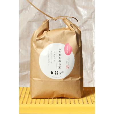 ふるさと納税 能美市 【令和7年産】石川県産コシヒカリ白米5kg×1袋カルゲン米