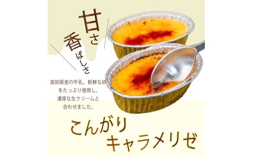 12ヶ月 定期便 濃厚 焦がしクリームブリュレ 9個 冷凍 アイス プリン カタラーナ スイーツ デザート 卵 お菓子 洋菓子 焼き菓子 氷菓子 ギフト おやつ キャラメル ミルク個 牛乳 生クリーム