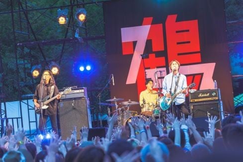 市内で開催した鶴フェスの様子