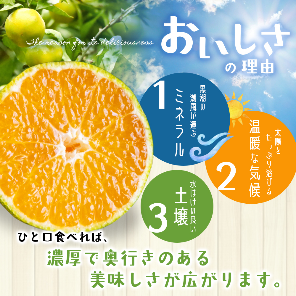 仲森農園の超極早生温州みかん みえ紀南一号 約7kg みかん ミカン 蜜柑 温州みかん 温州ミカン 柑橘 フルーツ 果物 くだもの 甘い 旬 数量限定 期間限定 産地直送 三重県 熊野市【2026年9