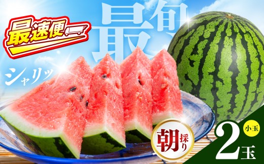 【 最速便 ！ 順次出荷中！ 】小玉スイカ 熊本和水町産 スイカ 小玉 2玉 【 翌営業日 ～ 7営業日で発送 】 | 熊本県 和水町 くまもと なごみまち すいか 西瓜 小玉2玉 季節限定 果物 フルーツ 果物 野菜 | ふるさと納税 オススメ 返礼品