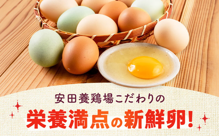 安田養鶏場の卵 アトムくん 40個入り 横須賀市 産地直送 たまご 黄身 濃厚 卵 玉子 タマゴ 鶏卵  【安田養鶏場】 [AKHN003]