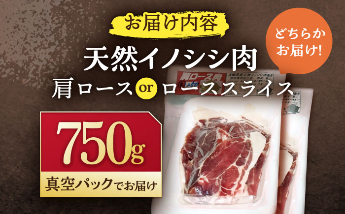 ジビエ 天然イノシシ肉 肩ロース ＆ ロース スライス750g【照本食肉加工所】 [OAJ011]