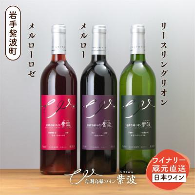 ふるさと納税 紫波町 紫波辛口ワイン3本セット【メルロー・メルローロゼ・リースリングリオン】
