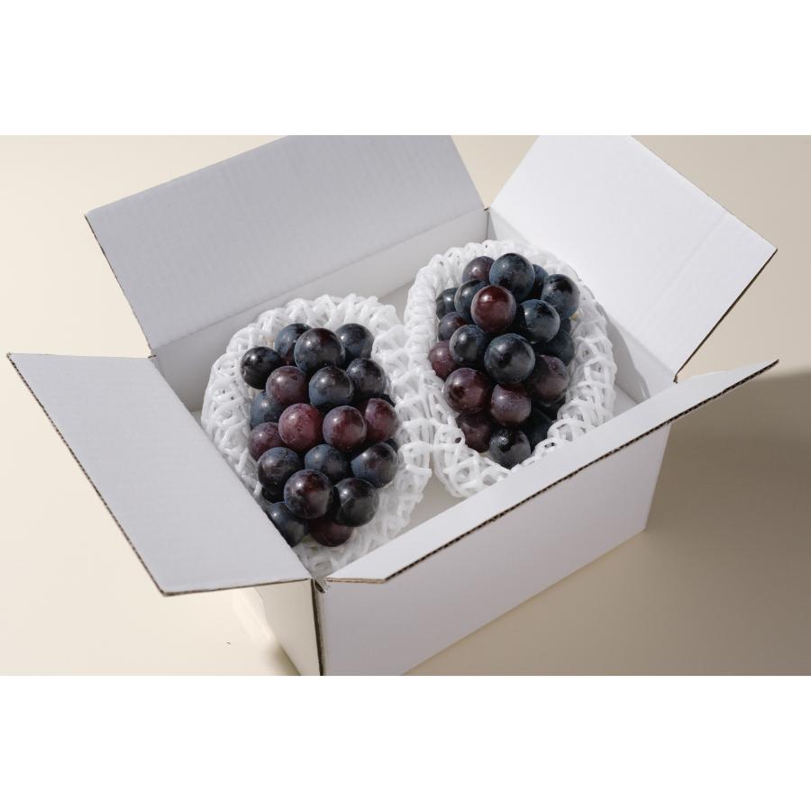 ＜Bonchi＞甲州市産 種無しピオーネ 2房入(900g) 自然農法