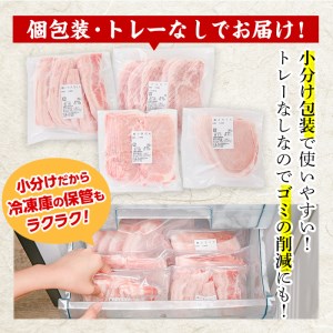 ＜定期便・全6回 (連続)＞豚肉 バラエティーパック (総量12kg・4種) 小分け 豚バラ スライス とんかつ ロース 豚こま しゃぶしゃぶ 鍋 大分県 佐伯市【BD209】【西日本畜産 (株)】