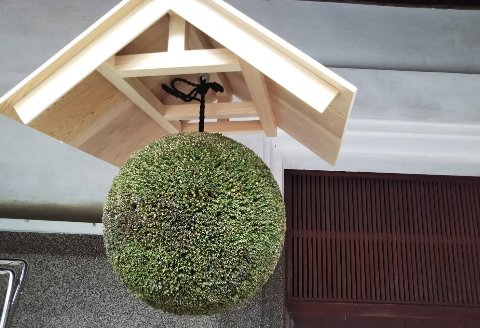 日本酒ライフに彩りを！杉玉直径30㎝。自宅やお店のインテリアに【67-1】