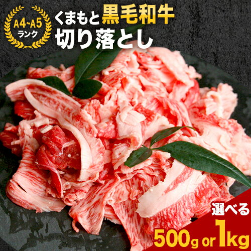 【ふるさと納税】 【A4〜A5】くまもと黒毛和牛 切り落とし 選べる 500g 1kg 《30日以内に出荷予定(土日祝除く)》 牛肉 ふるさと納税 A4〜A5等級 黒毛和牛 切り落とし 黒毛和牛 冷凍庫