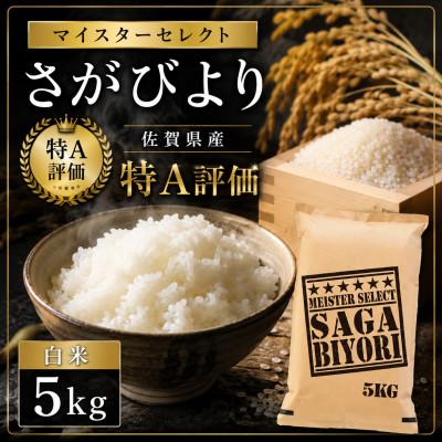 ふるさと納税 伊万里市 令和7年産さがびより【白米】5kg【特A評価】《マイスターセレクト》