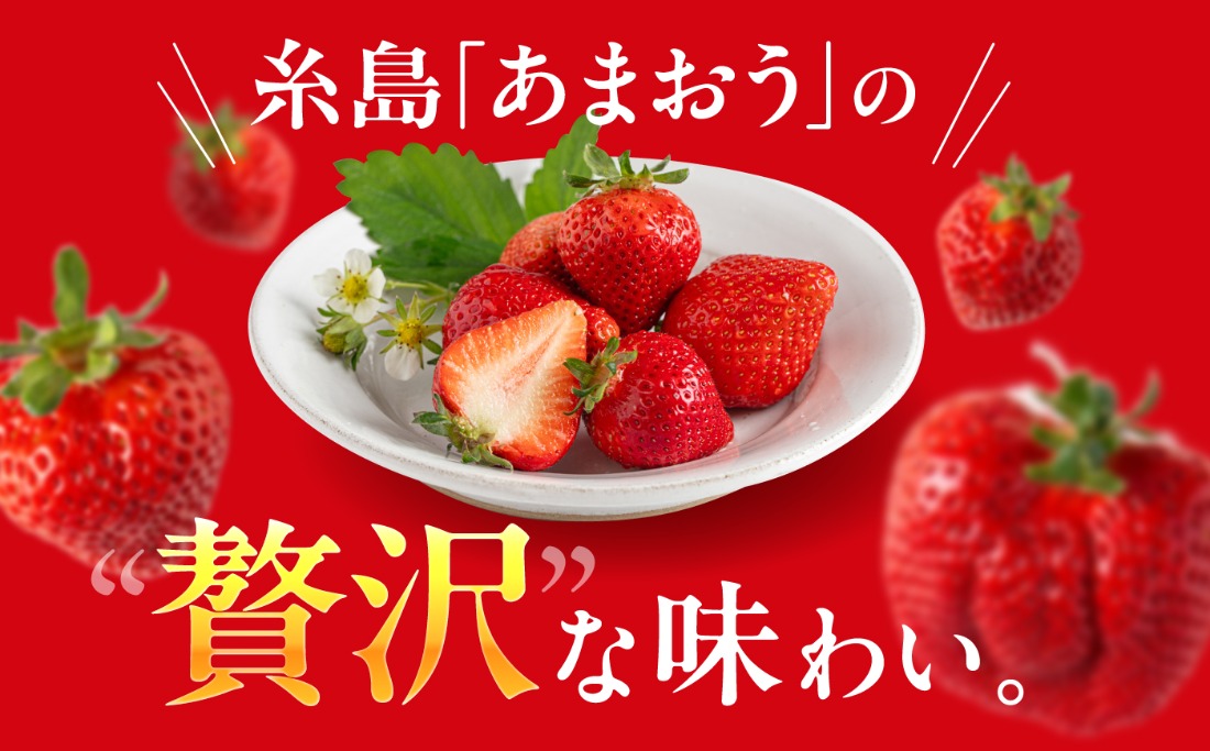 【全3回定期便】【農園直送】糸島のあまおう 270g×2パック (サイズおまかせL〜5L) 果物 フルーツ いちご / 糸島市 / 磯本農園 / TANNAL[ATB009]