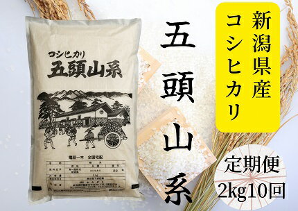 【ふるさと納税】【令和7年産新米】「米屋のこだわり阿賀野市産」≪10回定期便≫コシヒカリ2kg×10回 新潟県 阿賀野市 五頭山系 米 白米 精米 かたぎり