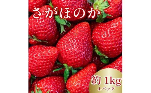 いちご さがほのか 4パック ( 280g × 4 ) 大粒 果物 フルーツ 苺 ストロベリー  ケーキ アイス タルト ジュース ゼリー ジェラート シャーベット ジャム スムージー 洋菓子 和菓子 フルーツサンド フルーツ大福 いちご大福 プレゼント ギフト お取り寄せ グルメ 送料無料 徳島県 阿波市 御所の郷