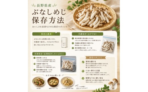ぶなしめじ 【1袋500g】 | ぶなしめじ しめじ きのこ キノコ 長野県 南信州 天龍 てんりゅう
