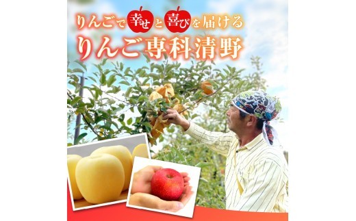 《先行受付》贈答規格 旬のりんご詰合せ約3kg（サンふじ確約3種以上）特秀～秀 大江町産【2026年12月上旬頃～発送予定】