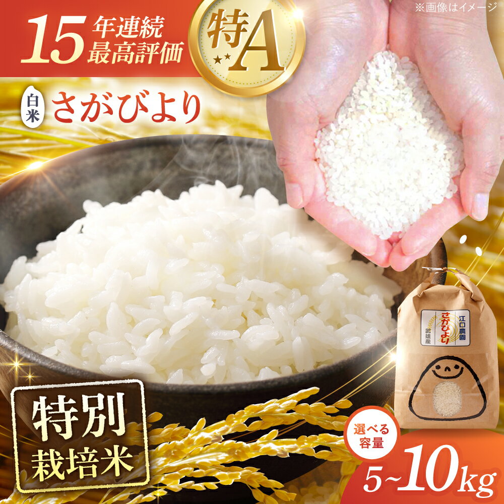 【ふるさと納税】【2026年1月発送】15年連続特A評価 令和7年産 特別栽培米 さがびより 白米 5kg・10kg /江口農園 [UBF004] 米 お米 ブランド米 佐賀県産 お米 おいしい ランキング 人気 国産 佐賀県産 精米 ご飯