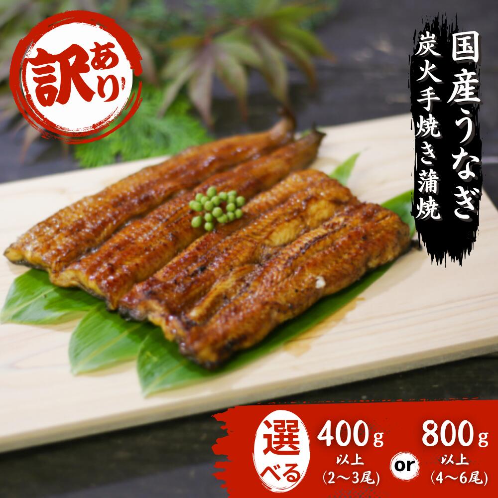 【ふるさと納税】【訳あり】【数量限定】【期間限定】国産うなぎ 炭火蒲焼 選べる400g 800g 賞味期限間近 フードロス A-AA-J37A