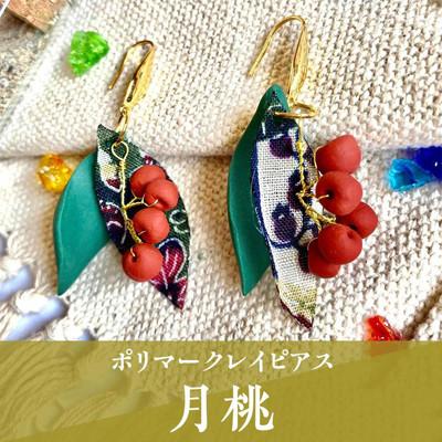 ふるさと納税 うるま市 【ピアス】月桃ポリマークレイピアス