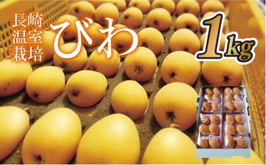 C154a 長崎温室栽培びわ(2L･L･Mサイズ1,000g)