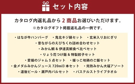 22_Ehime カタログギフト 1冊 （2品選択コース） ハンバーグ キジ鍋 ちくわ 麺 餃子 ジャム ジュース おにぎり 大福 ビール バル タオル お中元 御歳暮 御祝 愛媛県 （540）