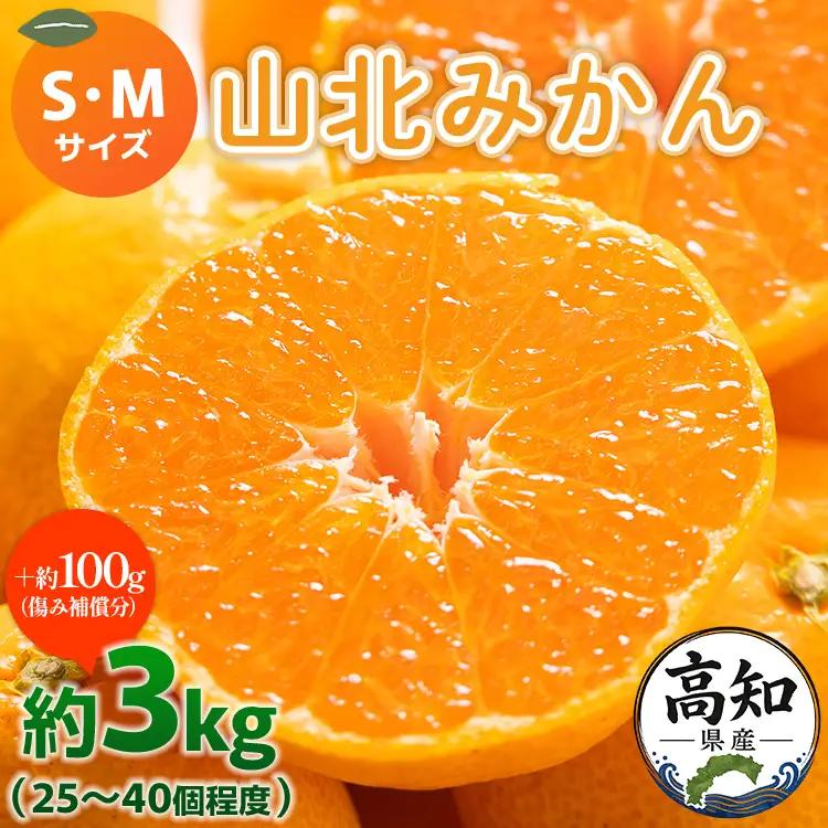 【柑橘】山北みかん 3kg 秀品 柑橘 yk-0080