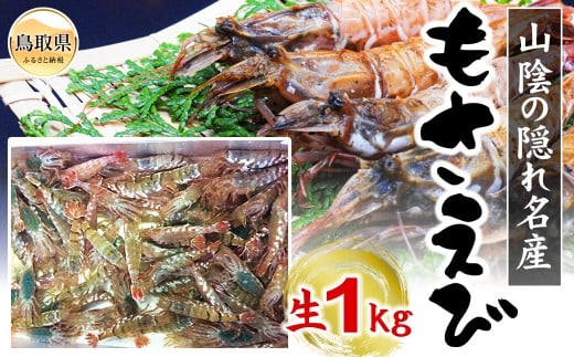 D24-106 【魚倉】モサエビ 生1kg（中～大サイズ）【期間限定】