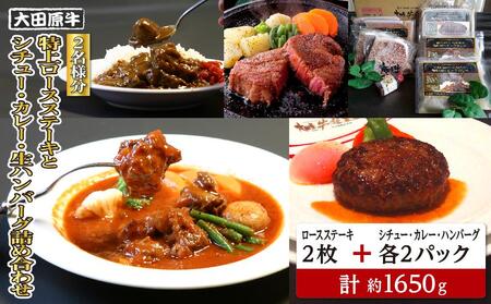 【2名様分】 大田原牛 特上ロース ステーキ 2枚とシチュー・カレー・生ハンバーグ各2パックの詰め合わせ | ブランド牛 和牛 牛肉  高級 ロース ステーキ ハンバーグ カレーライス ビーフシチュー