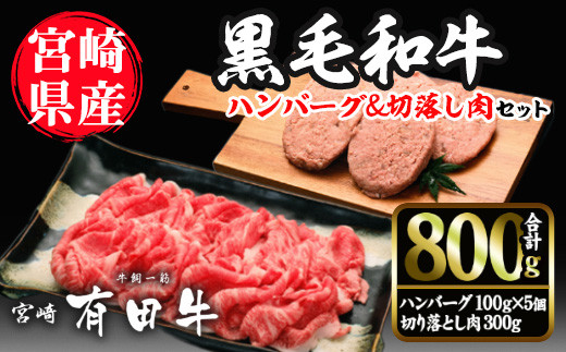 
宮崎黒毛和牛ハンバーグと切落しの2種セット(ハンバーグ100g×5個・切落し300g)【AR002】【(有)有田牧畜産業 食肉加工センター】
