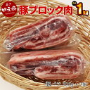 【ふるさと納税】GIFTON 岩手 四元豚 豚バラ ブロック 1kg 500g 2パック 豚肉 冷凍 プレゼント ギフト 贈り物 ご当地 みやげ お中元 お歳暮 年末年始 大晦日 年越し お正月 パーティー 焼肉 煮込み 炒め物 料理 ストック かたまり肉 ごえん株式会社