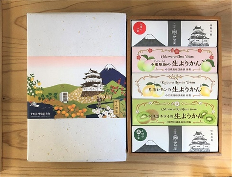 
小田原老舗和菓子店の手づくりようかん5本セット【和菓子店　手づくりようかん5本セット レモンようかん　フルーツようかん 足柄茶ようかん 本練ようかん キウイようかん 梅ようかん 神奈川県指定銘菓 神奈川県 小田原市 】
