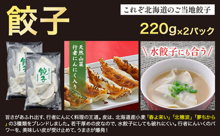 北海道産 ジンギスカン セット 3kg (全9種) ホルモン ウインナー 餃子《30日以内に出荷予定(土日祝除く)》