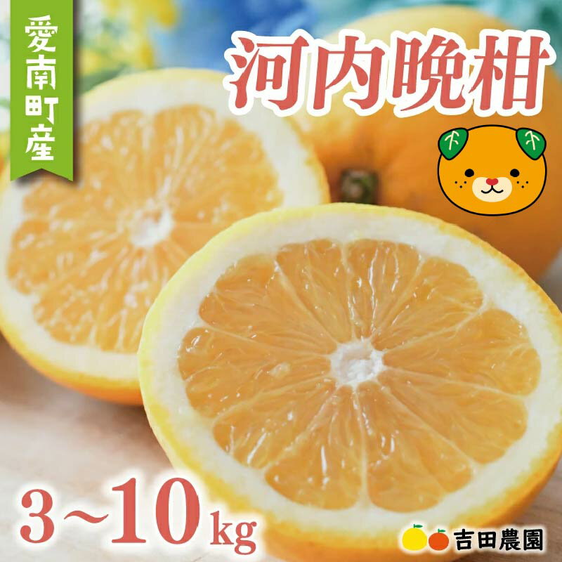 【ふるさと納税】 先行受付 数量限定 高評価 ★4.79 選べる容量 河内晩柑 3kg 5kg 10kg 訳あり 贈答用 期間限定 わけあり 愛媛 みかん mikan 蜜柑 ミカン 愛南ゴールド 国産 特産品 フルーツ ギフト プレゼント お中元 果物 柑橘 おいしい 甘い 吉田農園 愛南町 愛媛県
