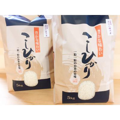 ふるさと納税 近江八幡市 令和7年産　近江米【コシヒカリ10kg】環境こだわり米