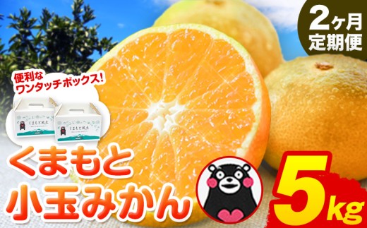 【2ヶ月定期便】訳あり みかん くまもと小玉みかん 約 5kg (2.5kg×2箱)  蜜柑 柑橘 《2026年10月-11月出荷》 ご家庭用 小玉 たっぷり 熊本県産 S-3Sサイズ 期間限定 フルーツ 5000 g 旬 柑橘 長洲町